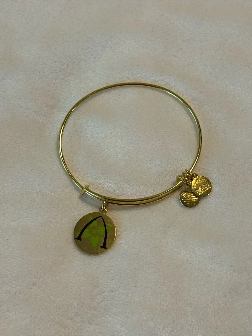 Alex and Ani Disney Parks Aulani Hawaii Green Enamel Charm Bangle — Gold Finish